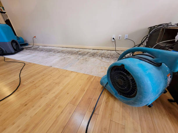 Professional Water Damage Repair technician working in Forestville, PA