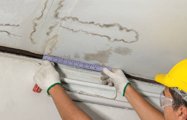 Affordable Water Damage Repair solutions in Forestville, PA